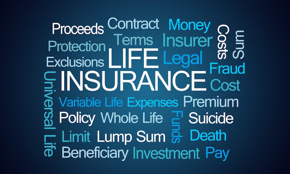 text grid of life insurance related words